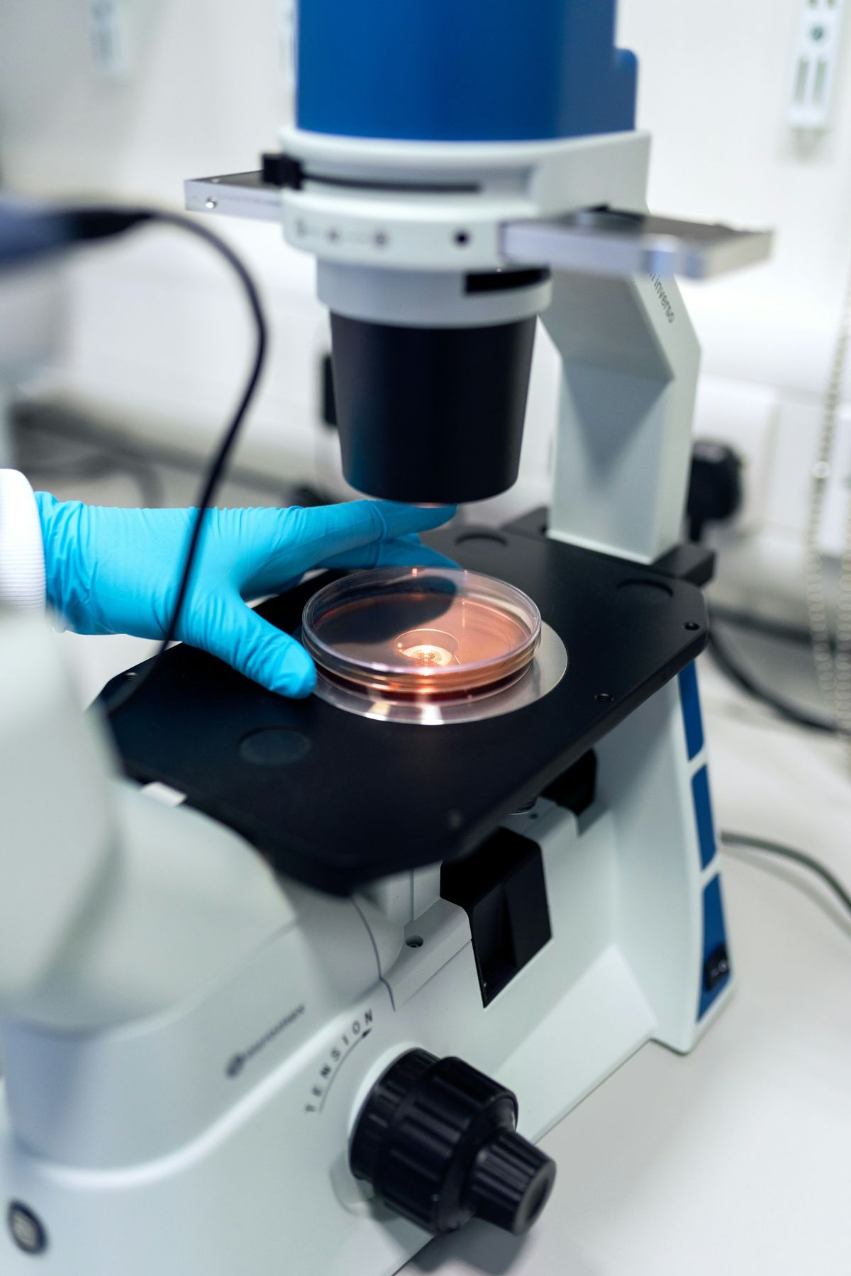 Mikroskop i laboratorium
